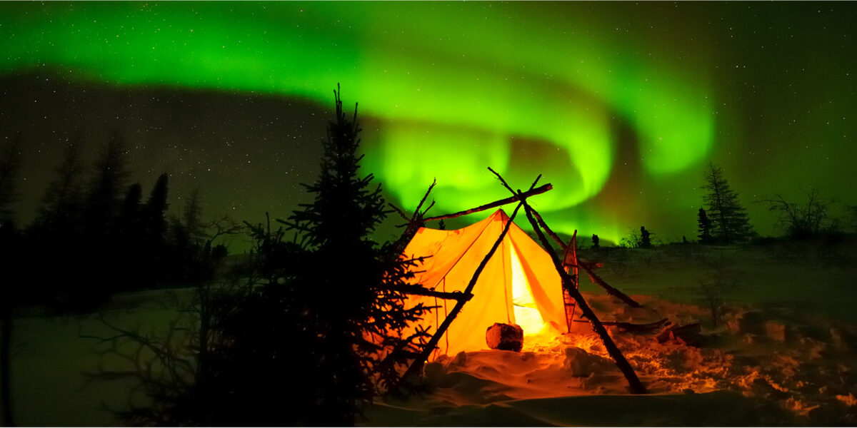 Ein von innen beleuchtetes Zelt, welches neben einem Nadelbaum steht. Im Hintergrund sind grüne Nordlichter.